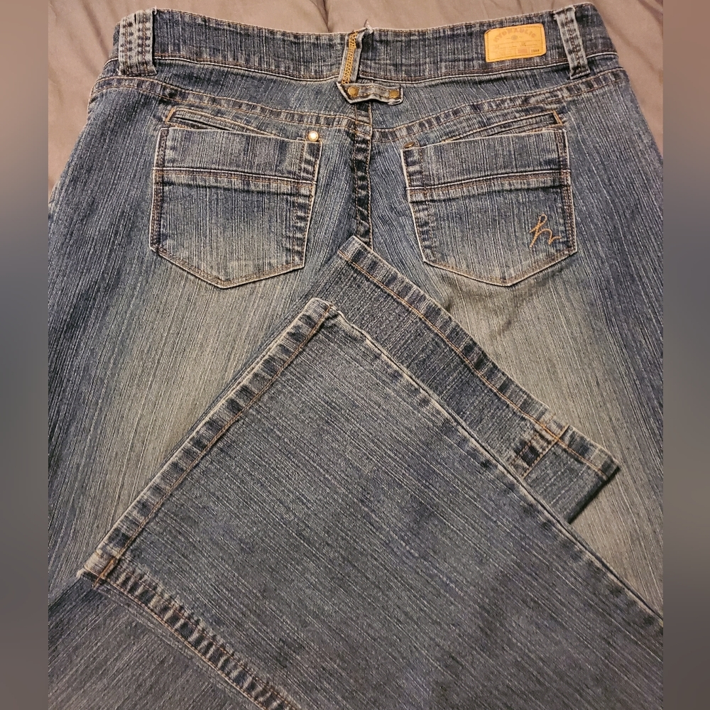 Hydraulic Medium Wash Junior-Plus Flare Jeans